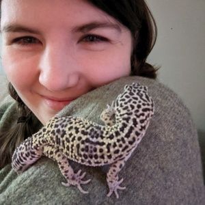 Meet your Posher, Morgan